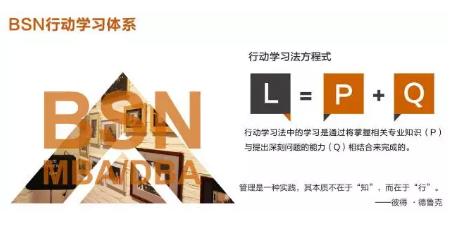 BSN荷兰商学院DBA工商管理博士学位项目(上海班)