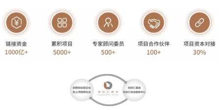 BSN荷兰商学院DBA工商管理博士学位项目(上海班)融资平台