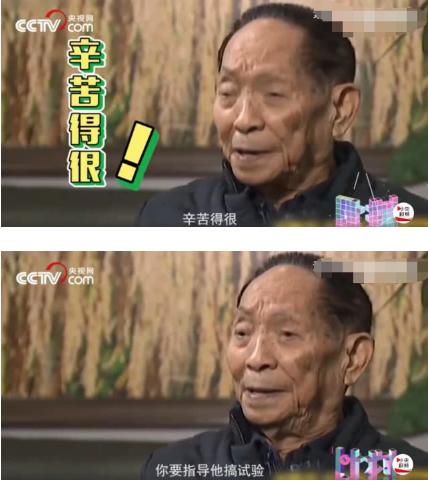 吐槽带博士生太累,袁隆平上热搜!做博导真的很累吗?
