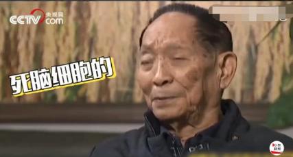 吐槽带博士生太累,袁隆平上热搜!做博导真的很累吗?