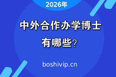 2026年中外合作办学博士有哪些？