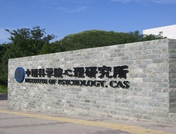 2019在职博士招生学校有哪些?